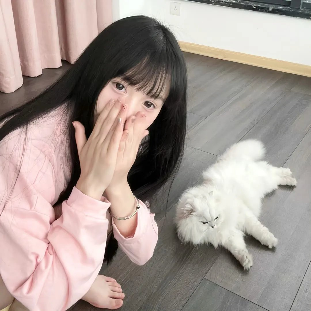 万圣节救星修比